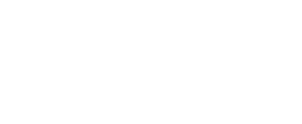 Logo Dacia Duster